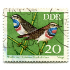 Марка «Bаракушка» 1973 год Германия (аверс)