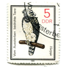 Марка «Южноамериканская гарпия» 1985 год Германия (аверс)