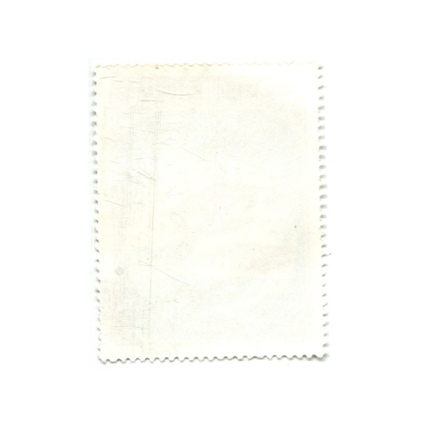 Марка «Большой поморник» 1980 год Монголия (вид 2)