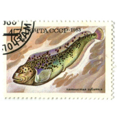 Марка «Пятнистая зубатка» 1983 год