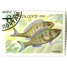 Марка «Смарида» 1983 год