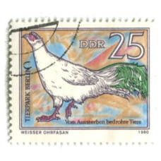 Марка «Ушастый фазан» 1980 год Германия (аверс)