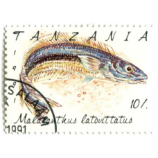 Марка «Полосатый бланкиньо» 1991 год Танзания