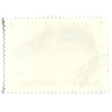 Марка «Полосатый бланкиньо» 1991 год Танзания (вид 2)