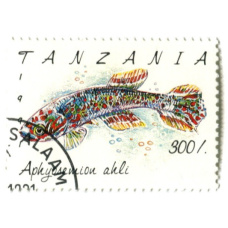 Марка «Афиосемион южный» 1991 год Танзания