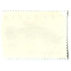 Марка «Афиосемион южный» 1991 год Танзания (вид 2)