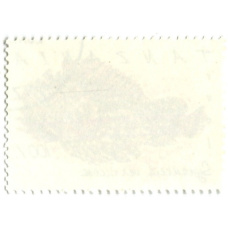 Марка «Бородавчатка» 1991 год Танзания (вид 2)