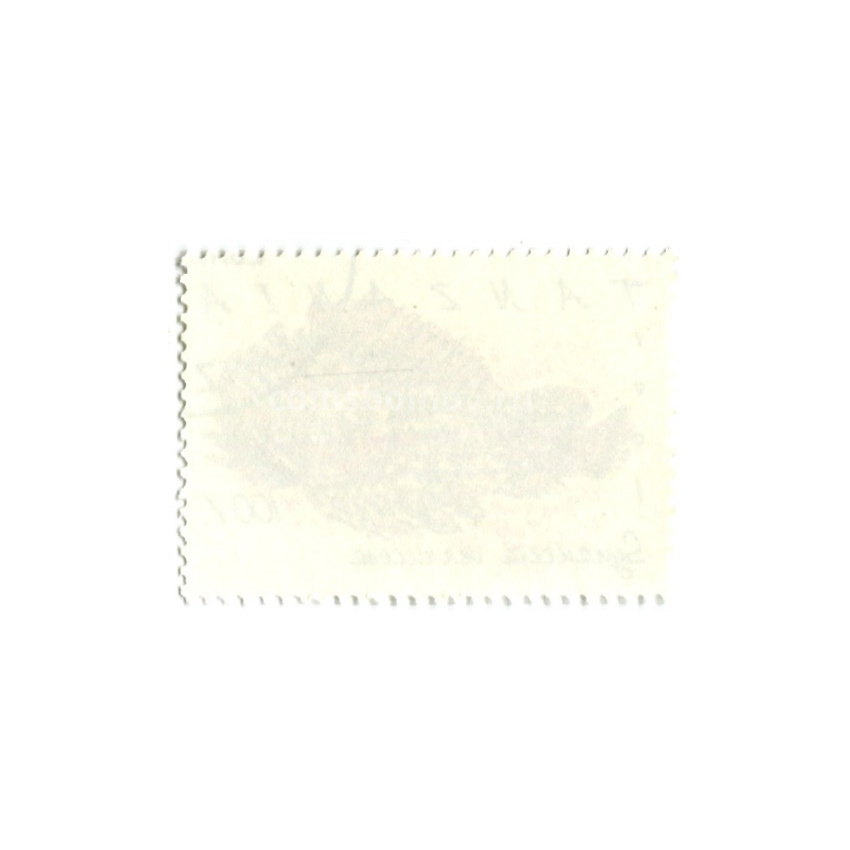 Марка «Бородавчатка» 1991 год Танзания (вид 2)