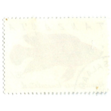 Марка «Хромис-красавец» 1991 год Танзания (вид 2)