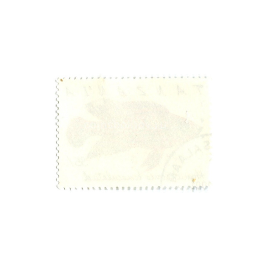 Марка «Хромис-красавец» 1991 год Танзания (вид 2)