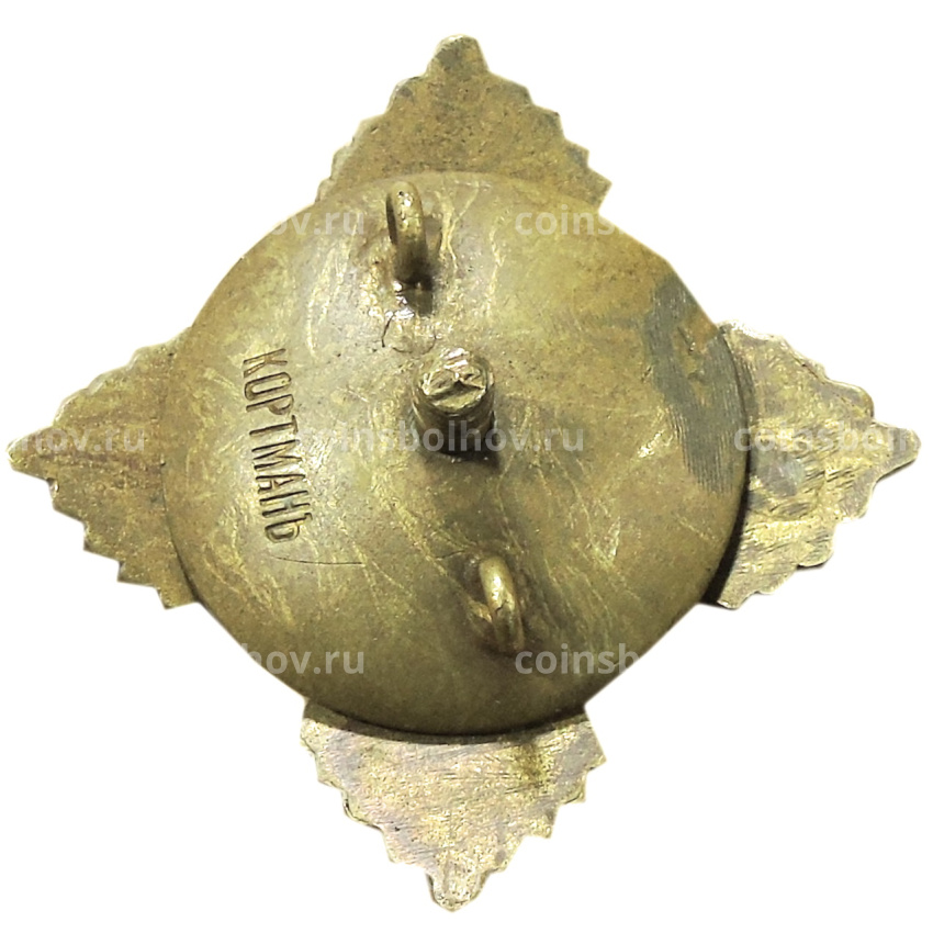 Знак полковой «131-й Тираспольский пехотный полк» — Копия (вид 2)
