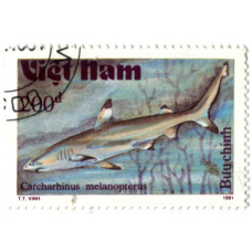 Марка «Черноперая рифовая акула» 1991 год Вьетнам