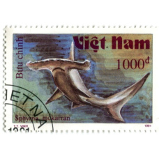 Марка «Гигантская акула-молот» 1991 год Вьетнам