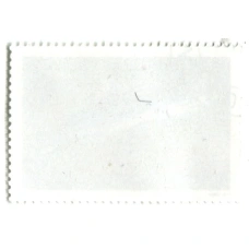 Марка «Белоперая серая акула» 1991 год Вьетнам (вид 2)