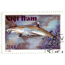 Марка «Рифовая акула» 1991 год Вьетнам