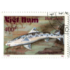 Марка «Средиземноморский трехусый налим» 1991 год Вьетнам