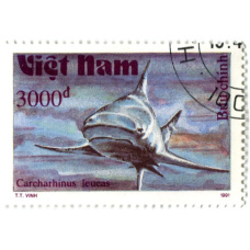 Марка «Тупорылая акула» 1991 год Вьетнам