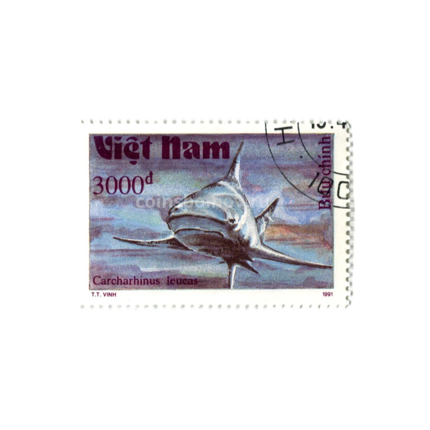 Марка «Тупорылая акула» 1991 год Вьетнам