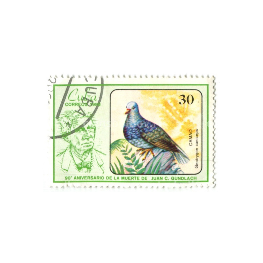 Марка «»Камайский дрозд-отшельник» 1986 год Куба