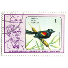 Марка «Красноплечий дрозд» 1986 год Куба (аверс)