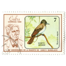 Марка «Кубинский желтобрюхий тиран» 1986 год Куба (аверс)