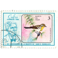 Марка «Тигровый лесной певун» 1986 год Куба (аверс)