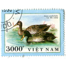 Марка «Кряква желтоносая» 1991 год Вьетнам