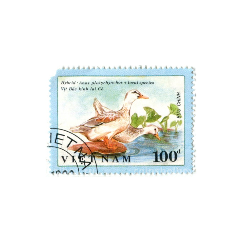 Марка «Кряква и серая утка» 1991 год Вьетнам