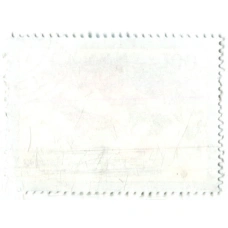 Марка «Кряква и серая утка» 1991 год Вьетнам (вид 2)