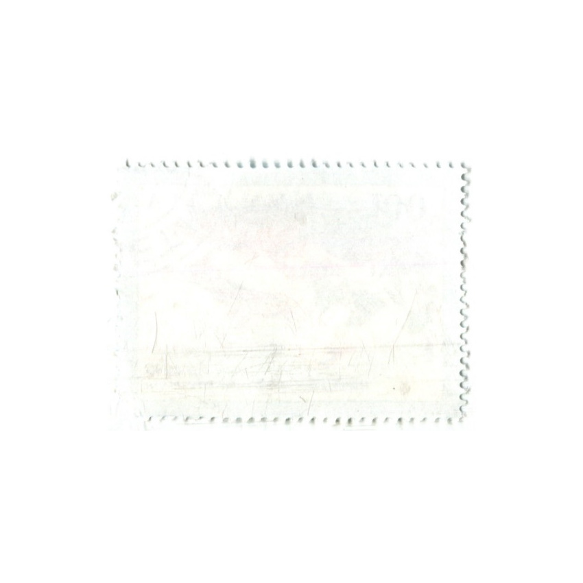 Марка «Кряква и серая утка» 1991 год Вьетнам (вид 2)