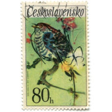 Марка «Кукушка обыкновенная» 1972 год Чехословакия