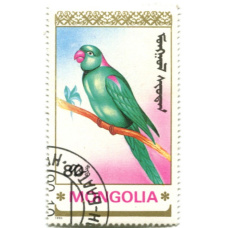 Марка 80 мунгу «Попугаи» 1990 год Монголия