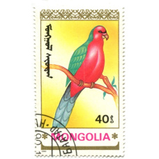 Марка 40 мунгу «Попугаи» 1990 год Монголия