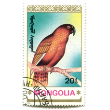 Марка 20 мунгу «Попугаи» 1990 год Монголия