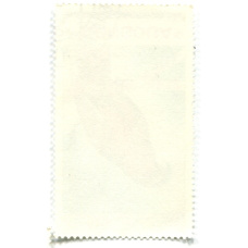 Марка 20 мунгу «Попугаи» 1990 год Монголия (вид 2)