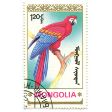 Марка 120 мунгу «Попугаи» 1990 год Монголия