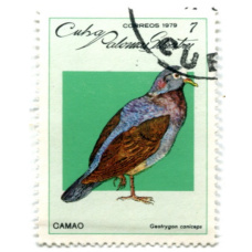 Марка «Голубь» 1979 год Куба (аверс)