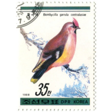 Марка «Свиристель» 1988 год Северная Корея