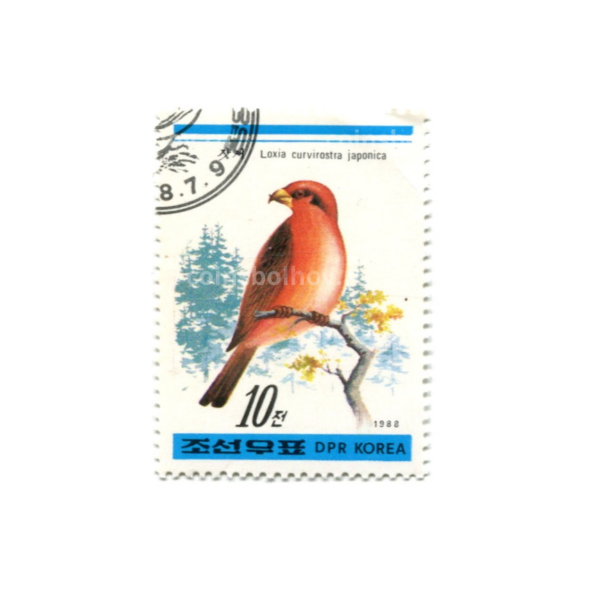 Марка «Клест -еловик» 1988 год Северная Корея