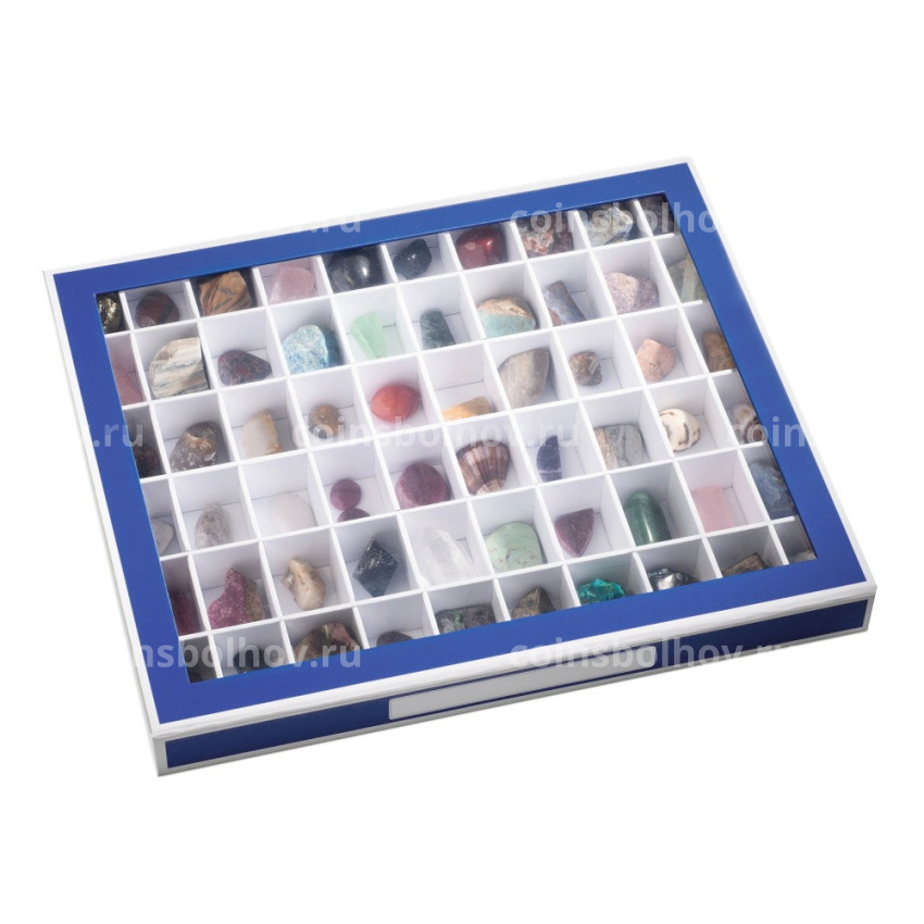 Демонстрационный бокс (витрина) на 60 ячеек Синий LEUCHTTURM 344051 (вид 4)