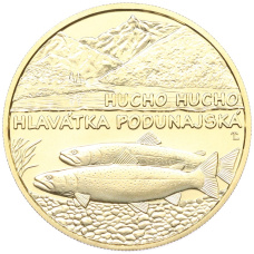 Монета 5 евро 2025 года Словакия «Фауна и флора Словакии — Дунайский лосось» (аверс)