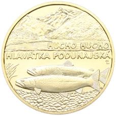 Монета 5 евро 2025 года Словакия «Фауна и флора Словакии — Дунайский лосось» (аверс)