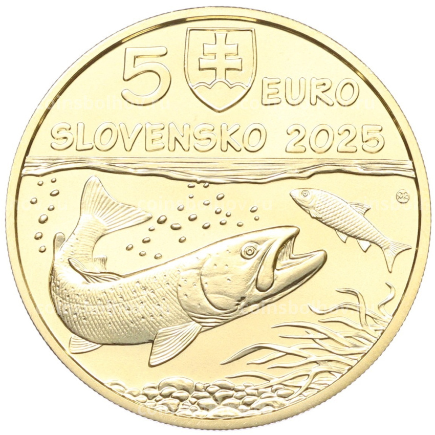 Монета 5 евро 2025 года Словакия «Фауна и флора Словакии — Дунайский лосось» (вид 2)