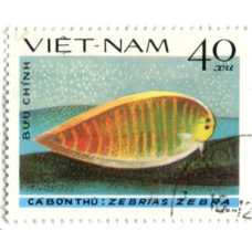 Марка «Рыба Зебрия-Зебра» 1982 год Вьетнам