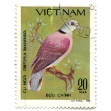 Марка «Красногорлый голубь» 1980 год Вьетнам