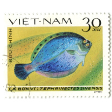 Марка «Крупнозубая камбала» 1982 год Вьетнам