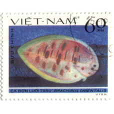 Марка «Брахирус восточный» 1982 год Вьетнам