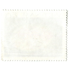 Марка «Брахирус восточный» 1982 год Вьетнам (вид 2)