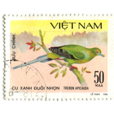Марка «Острохвостый зеленый голубь» 1980 год Вьетнам