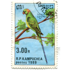 Марка «Индийский кольчатый попугай» 1989 год Камбоджа